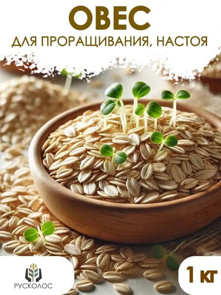 Овес в оболочке для проращивания, настаивания, заваривания