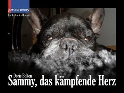 Sammy, das kmpfende Herz | Bolten Doris | Электронная книга