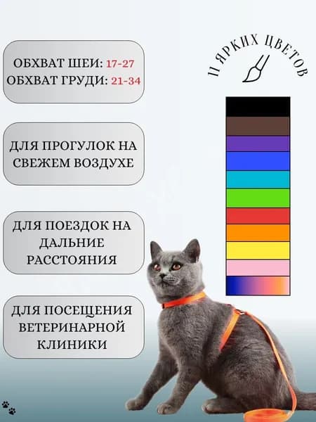 Шлейка