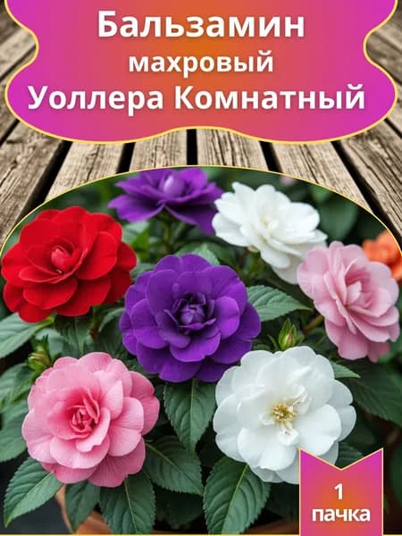 Бальзамин Уоллера махровый Комнатный F3 (семена)