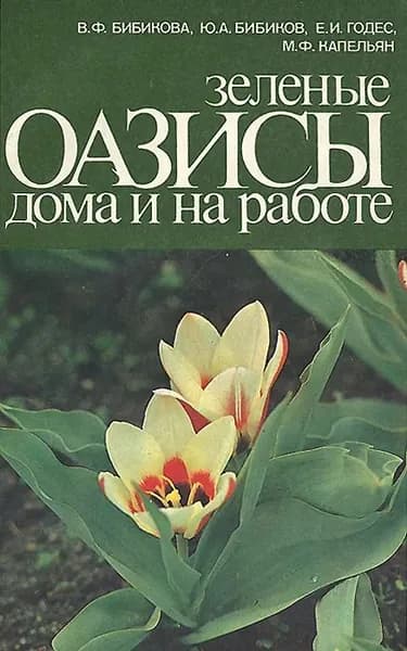 Зеленые оазисы дома и на работе