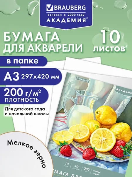 Бумага для акварели белая, для рисования А3, набор 10 листов в папке, 200 г/м2, 297х420 мм, Brauberg Академия Летний натюрморт