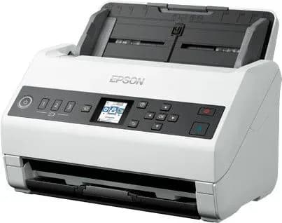 Epson Сканер, белый, темно-серый