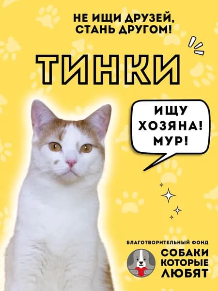 Помочь Тинки найти дом