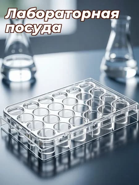 Пластиковая прозрачная культуральная пластина с 24 лунками для лабораторного использования