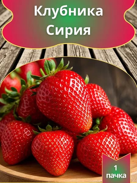 Клубника Сирия (семена)