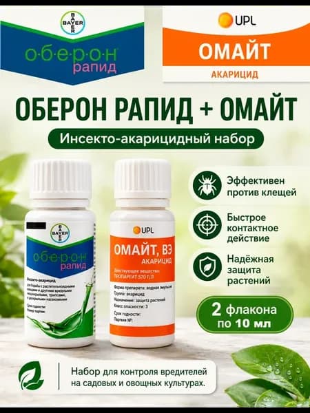 Оберон Рапид и Омайт