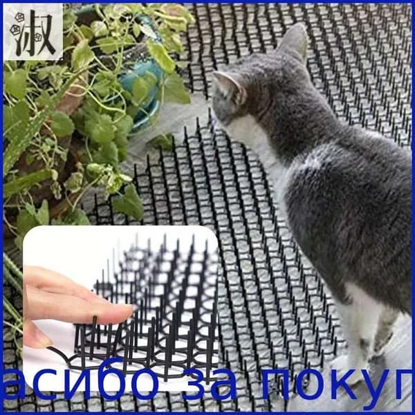 Одно ограждение для скалолазания животных