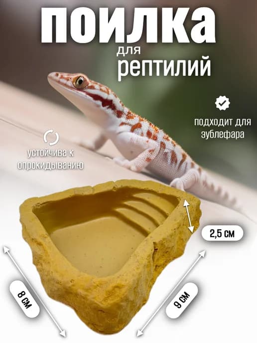 Кормушка поилка для рептилий
