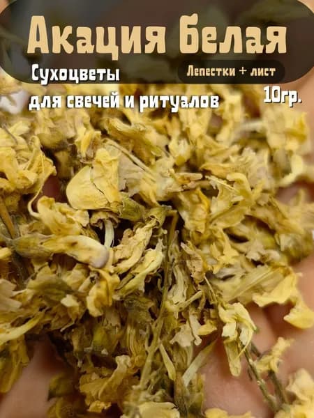 Акация белая сухоцветы для свечей и ритуалов 10 гр.