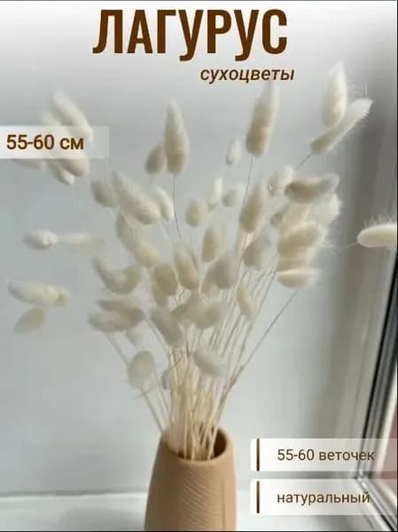 Сухоцветы, 60 см, 40 гр, 55 шт