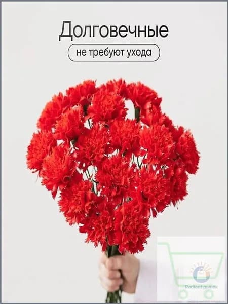 Букет из 20 искусственных гвоздик премиум