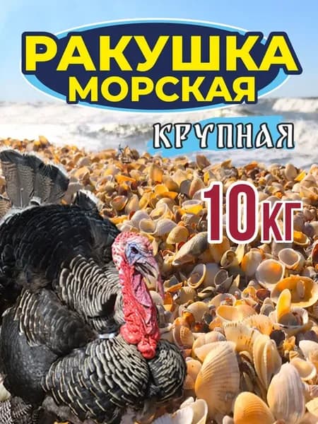 Ракушка для курей морская кормовая крупная подкормка
