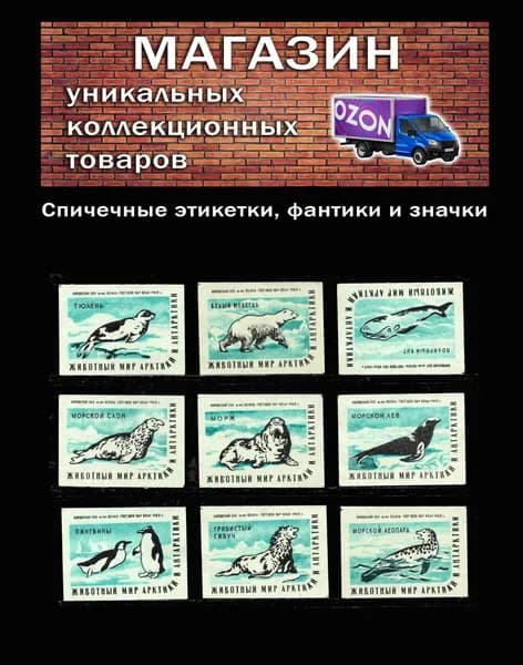 Спичечные этикетки СССР. 1962 год. Животный мир Арктики и Антарктики. Фауна. Спичечная фабрика Белка.