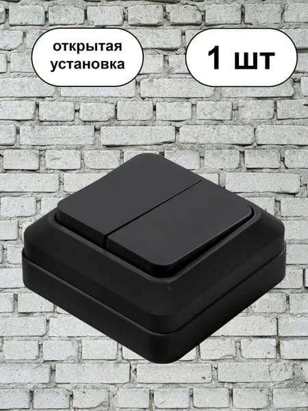 Выключатель двойной черный 1шт