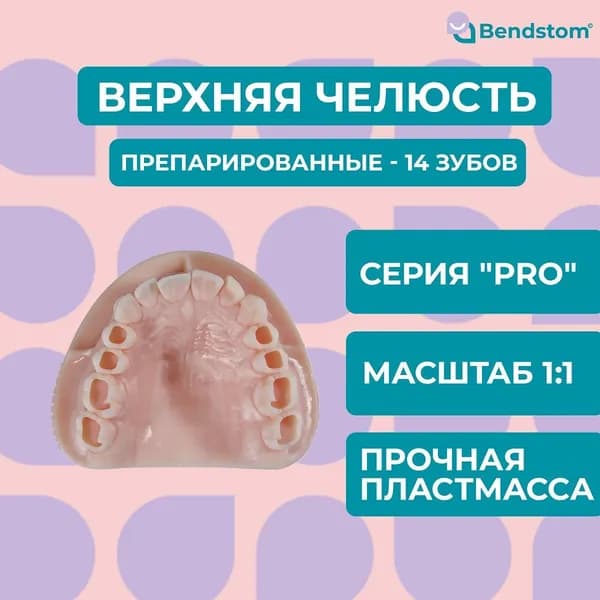 Верхняя препарированная фантомная челюсть (14 зубов) "PRO" / для отработки мануальных навыков / стоматологические модели для реставрации