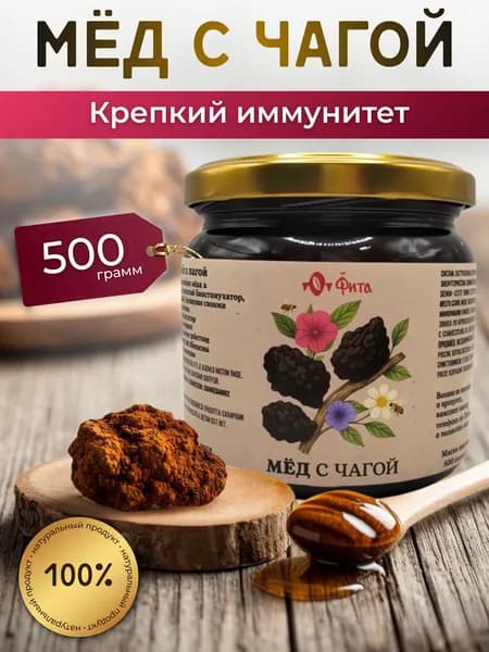 Мед цветочный и чага березовая 500 грамм