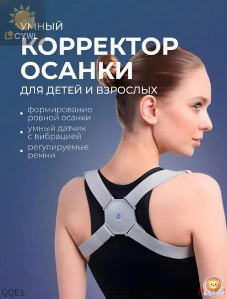 Тренажер для спины mzm-20260319154922870