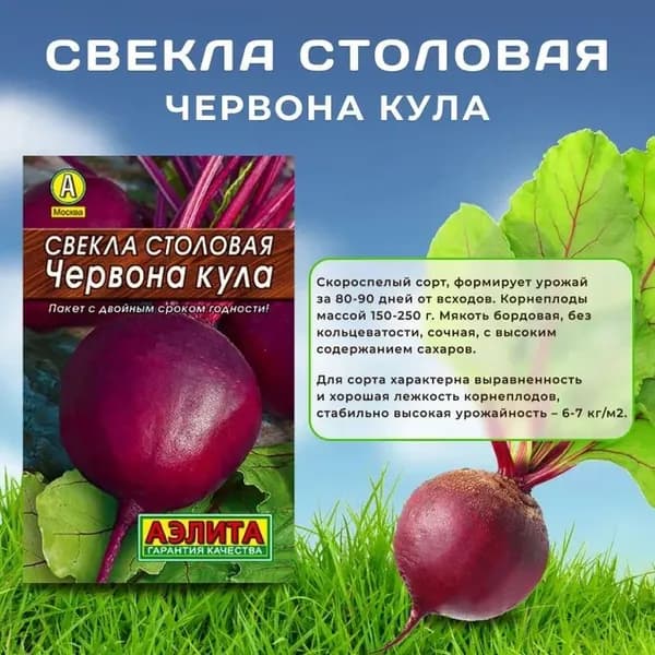 Семена Свекла столовая "Червона Кула" Агрофирма Аэлита