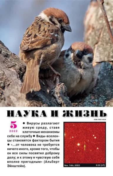 Наука и жизнь No05/2022 | Электронная книга