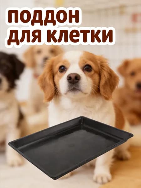 Пластиковый поддон для переноски домашних животных, черный, устойчивый к запахам и легкоочищаемый