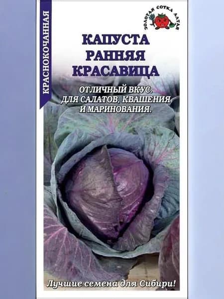 Капуста краснокочанная Ранняя красавица /Сотка/ 0,3г/ раннесп. 1-2кг