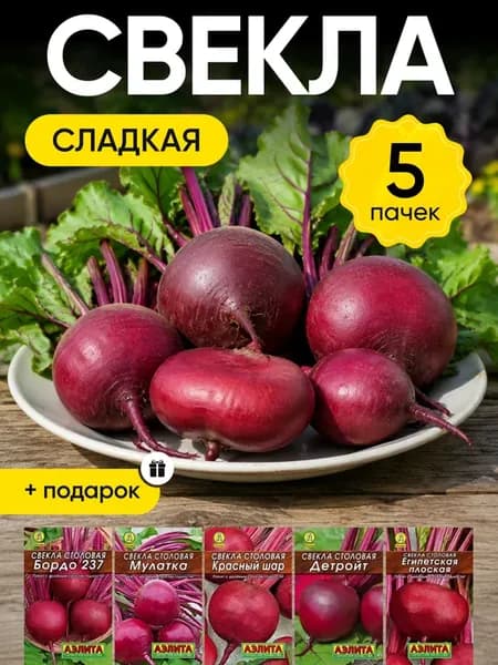 Семена свеклы сладкой