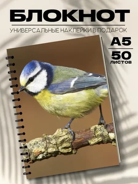 Блокнот в точку синица лазоревка