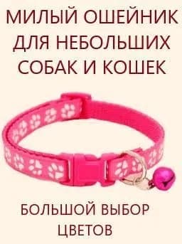 Ошейник