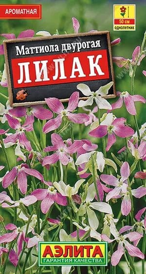 Семена Маттиола двурогая Лилак, Агрофирма Аэлита