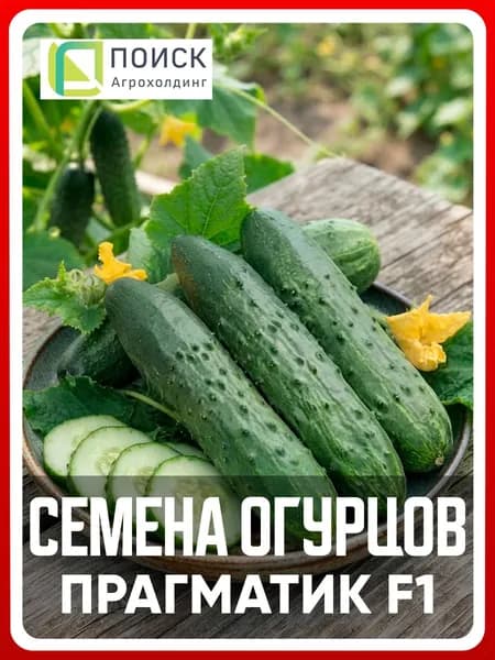 Семена Огурец "Прагматик F1" 0.3 г, овощи для дома, дачи и огорода, в открытый грунт, в теплицу, в парник
