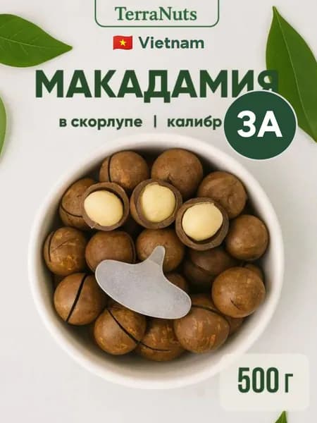 Макадамия орех в скорлупе калибр 3А 500 гр TerraNuts