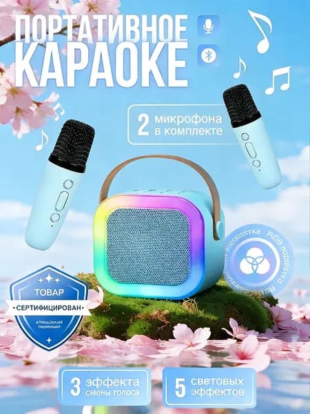 Колонка караоке с микрофонами подарок