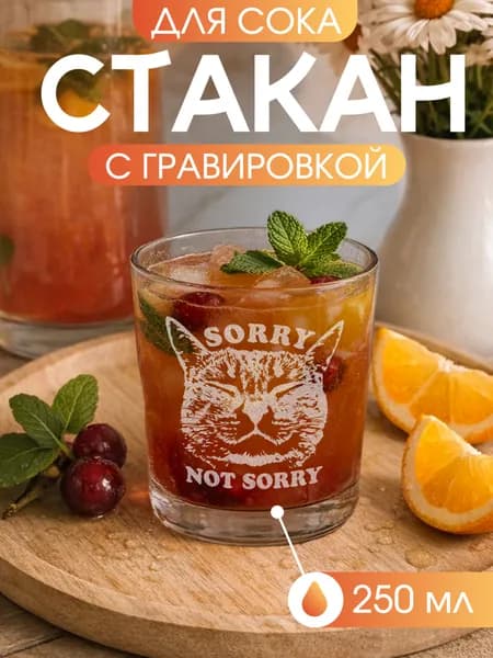 Стеклянный стакан с лазерной гравировкой "котик сори" 350 мл для сока и воды