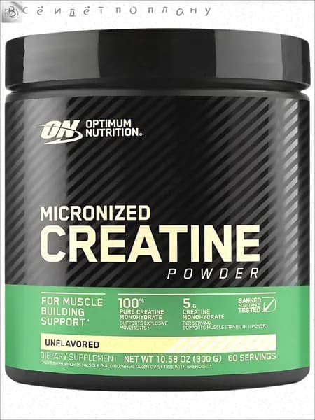 Креатин моногидрат OН - Микронизированный креатин порошок 300 грамм /Optimum Nutrition ON - Micronized Creatine Powder