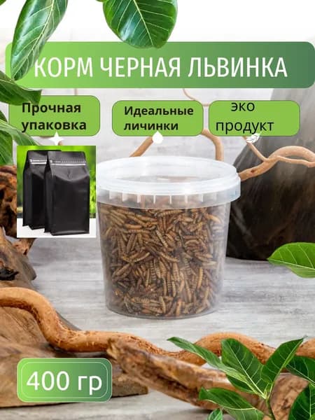 Черная львинка для крыс, ежей,хомяков