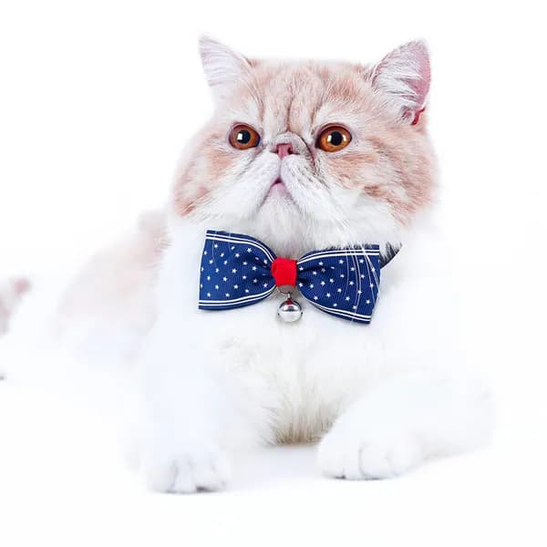 Синий котовий ошейник с бантом и бубенчиком для маленьких кошек
