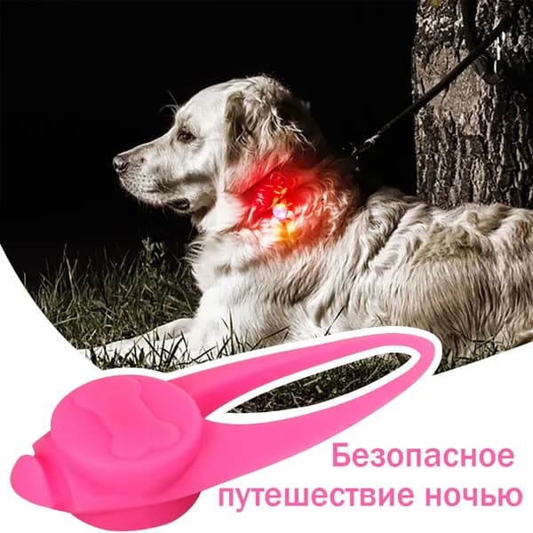 1шт ночная безопасная подвеска для домашних животных, светящаяся в темноте ночи с защитой от потери зоотоваров