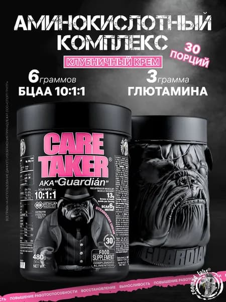 Аминокислотный комплекс BCAA с витамином B6 и минералами ZOOMAD LABS Care Taker 480 грамм, Клубничный крем СРОК ГОДНОСТИ ДО 31.08.2026