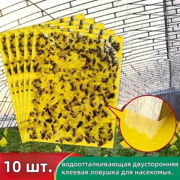 Двусторонняя клеевая ловушка для насекомых, водоотталкивающая, 10 штук.