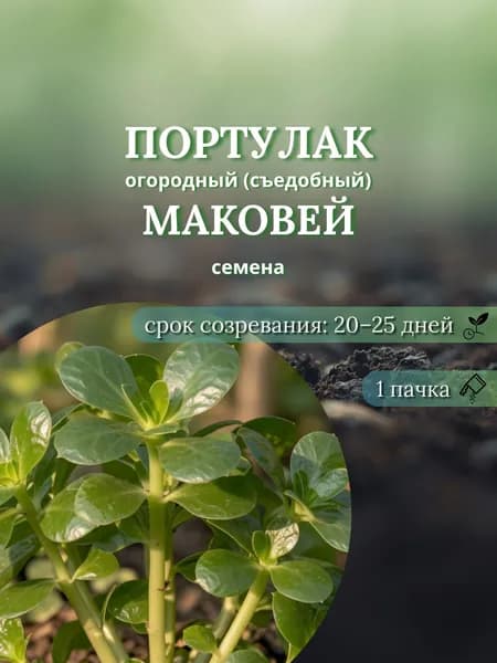 Портулак огородный (съедобный) Маковей, семена, 10 шт.