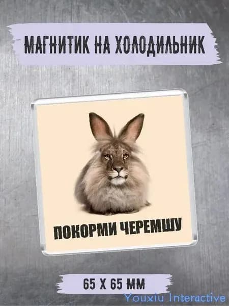 Магнит на холодильник "Черемша"