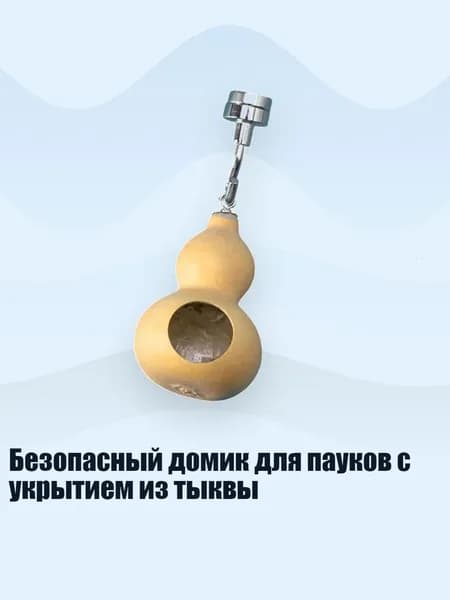 Безопасный домик для пауков с укрытием из тыквы, - 3
