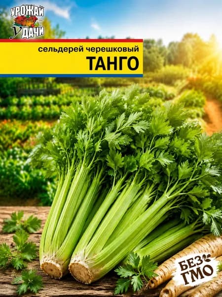 Семена Сельдерей черешковый ТАНГО (Семена УРОЖАЙ УДАЧИ, 10шт. в упаковке)
