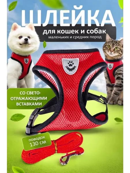 Шлейка для собак мелких и средних пород с поводком