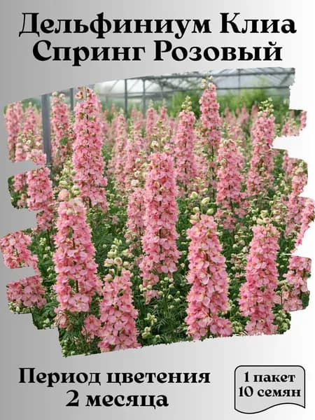 Дельфиниум Клиа Спринг Розовый, семена, 10 шт.