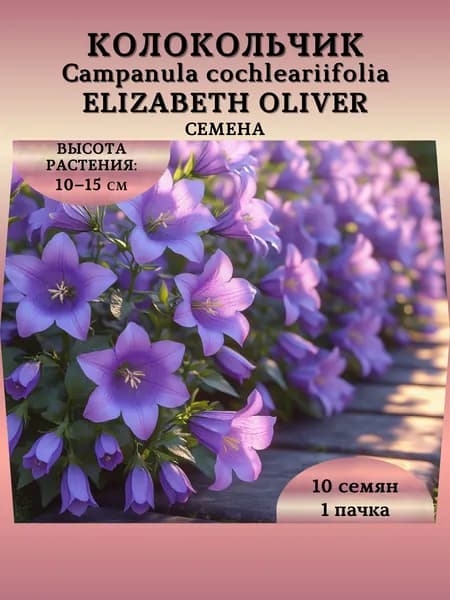 Колокольчик ложечницелистный "Elizabeth Oliver", семена, 1 пачка