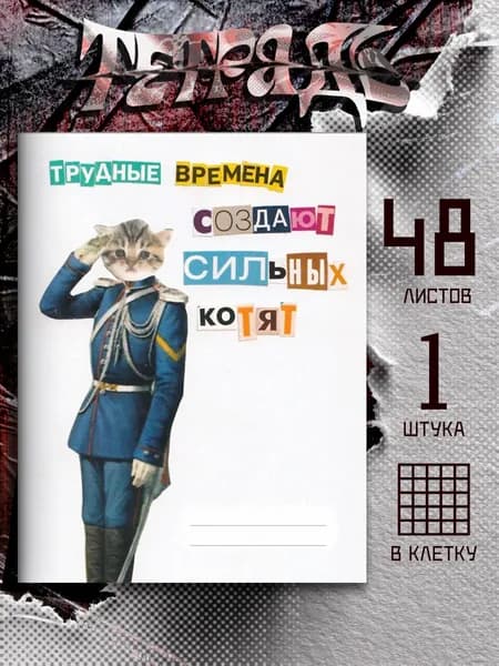 Тетрадь мем с котиком, 48 листов