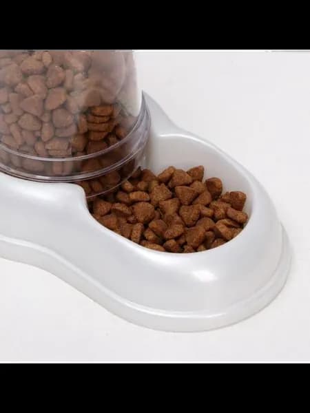 Автоматическая поилка и кормушка для питомцев