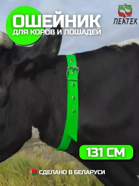 Ошейник для крс коров телят лошадей быков